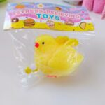 اسکوییشی جوجه